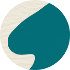 icon for Revenue Efficiency